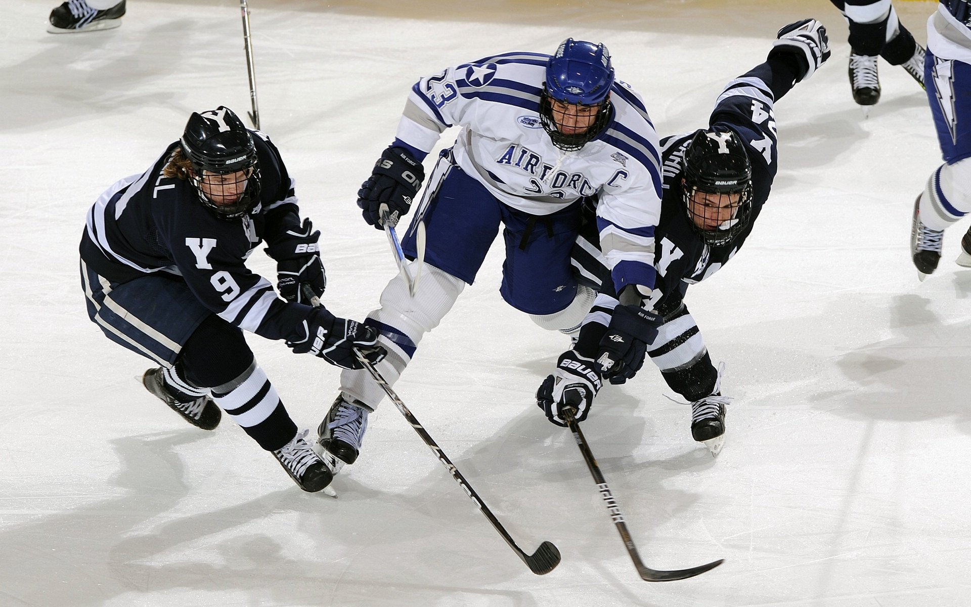 篮球让团结成为最强力量，篮球比赛团结就是力量